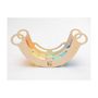 Voir la diapositive 4 : ELIS DESIGN Rocker Montessori Planches multicolores