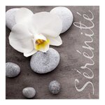 Paris Prix Lot de 20 Serviettes en Papier  Sérénité  33x33cm Naturel