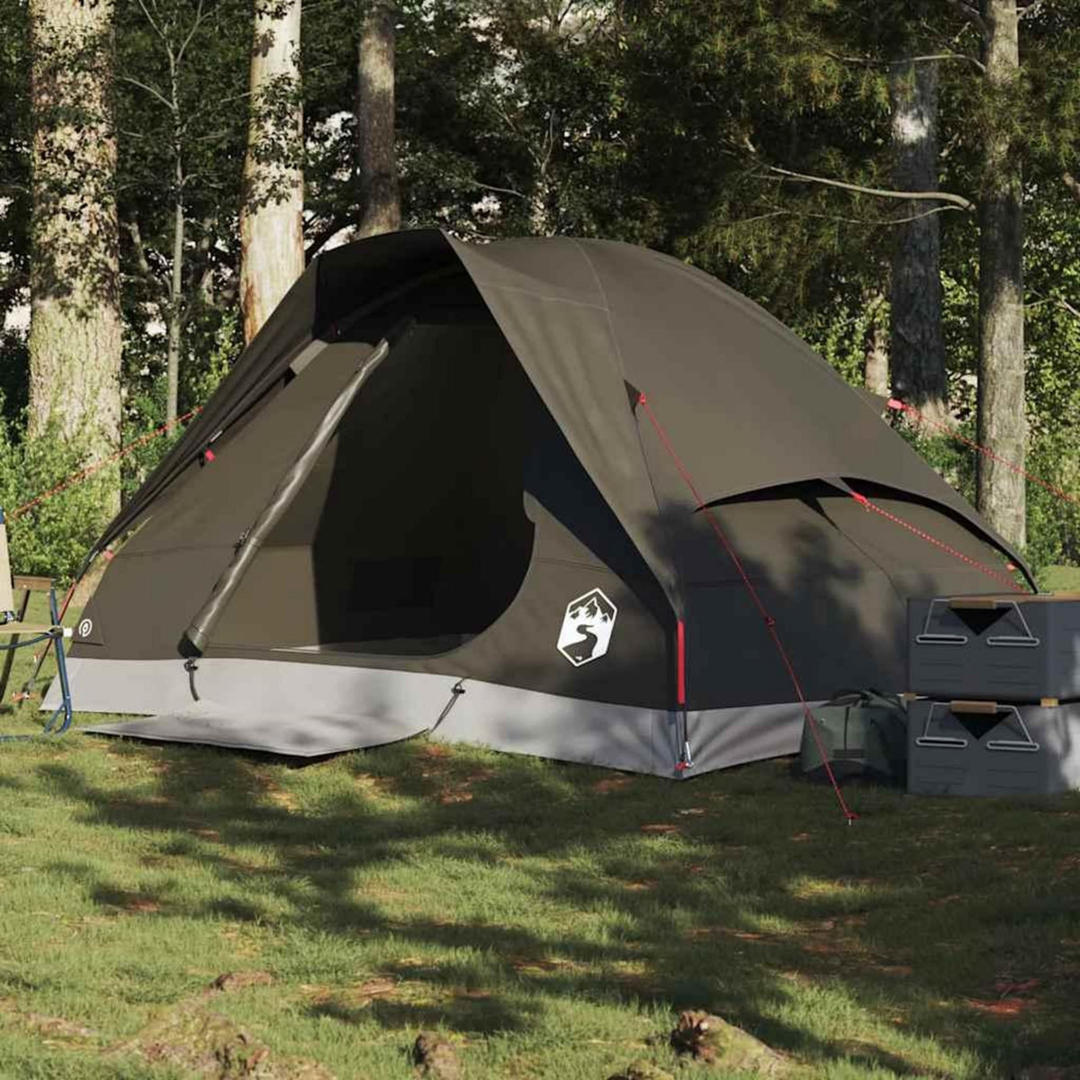 VIDAXL Tente de camping a dome 2 personne marron impermeable
