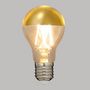 Voir la diapositive 2 : ATMOSPHERA Ampoule E27 Led  Filament Droit  10cm Or