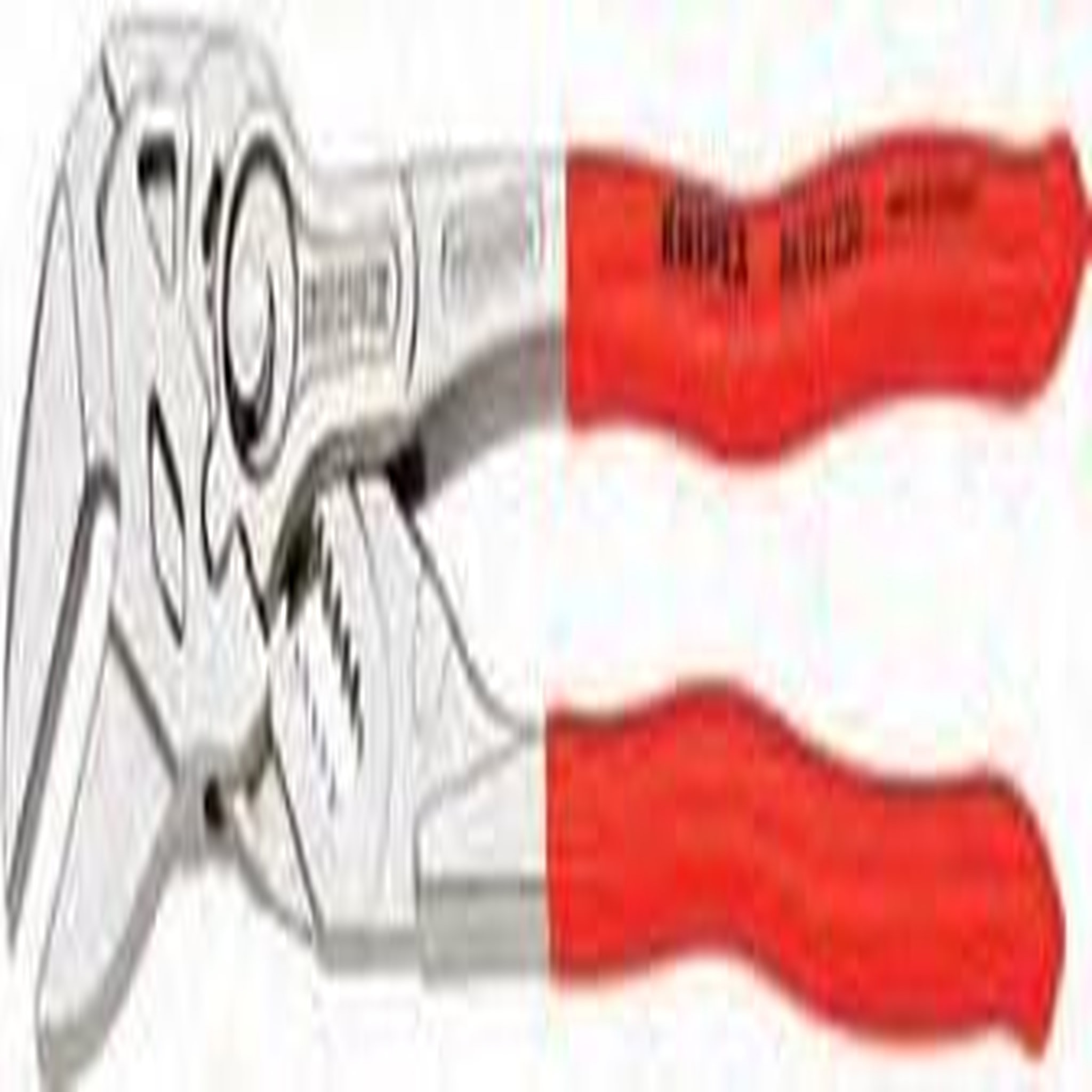 Knipex Pince clé multiprise 250 mm