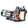 Voir la diapositive 2 : Hayward Pompe à filtration 0,75 cv, 11m3/h mono - sp2808xe111
