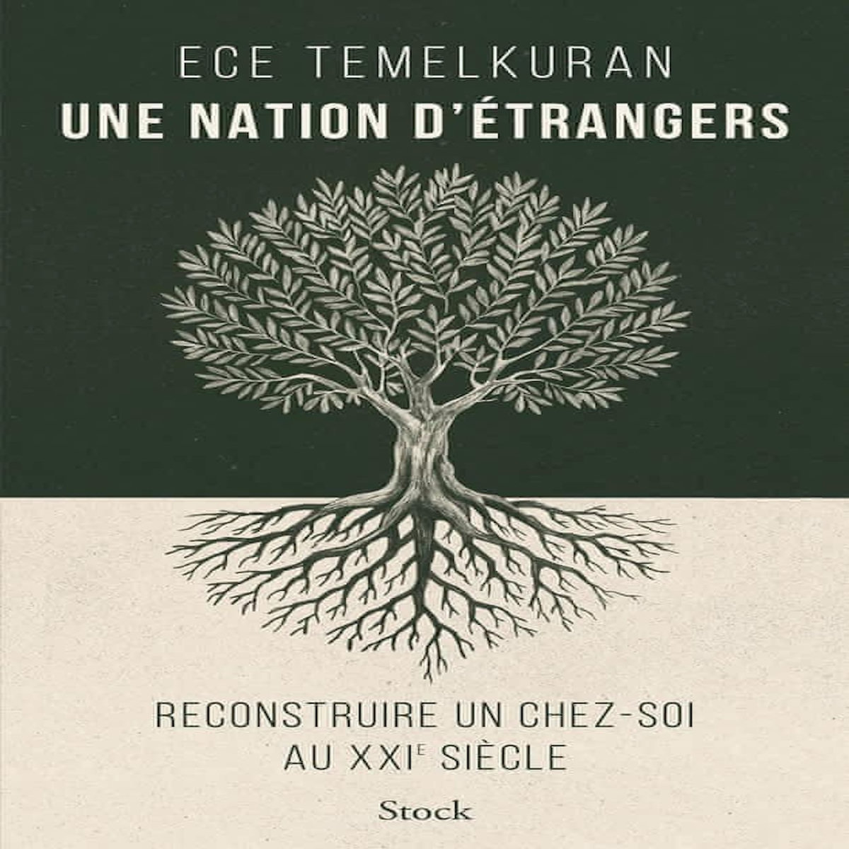 UNE NATION D'ETRANGERS. RECONSTRUIRE UN CHEZ-SOI AU XXIE SIECLE, Temelkuran Ece