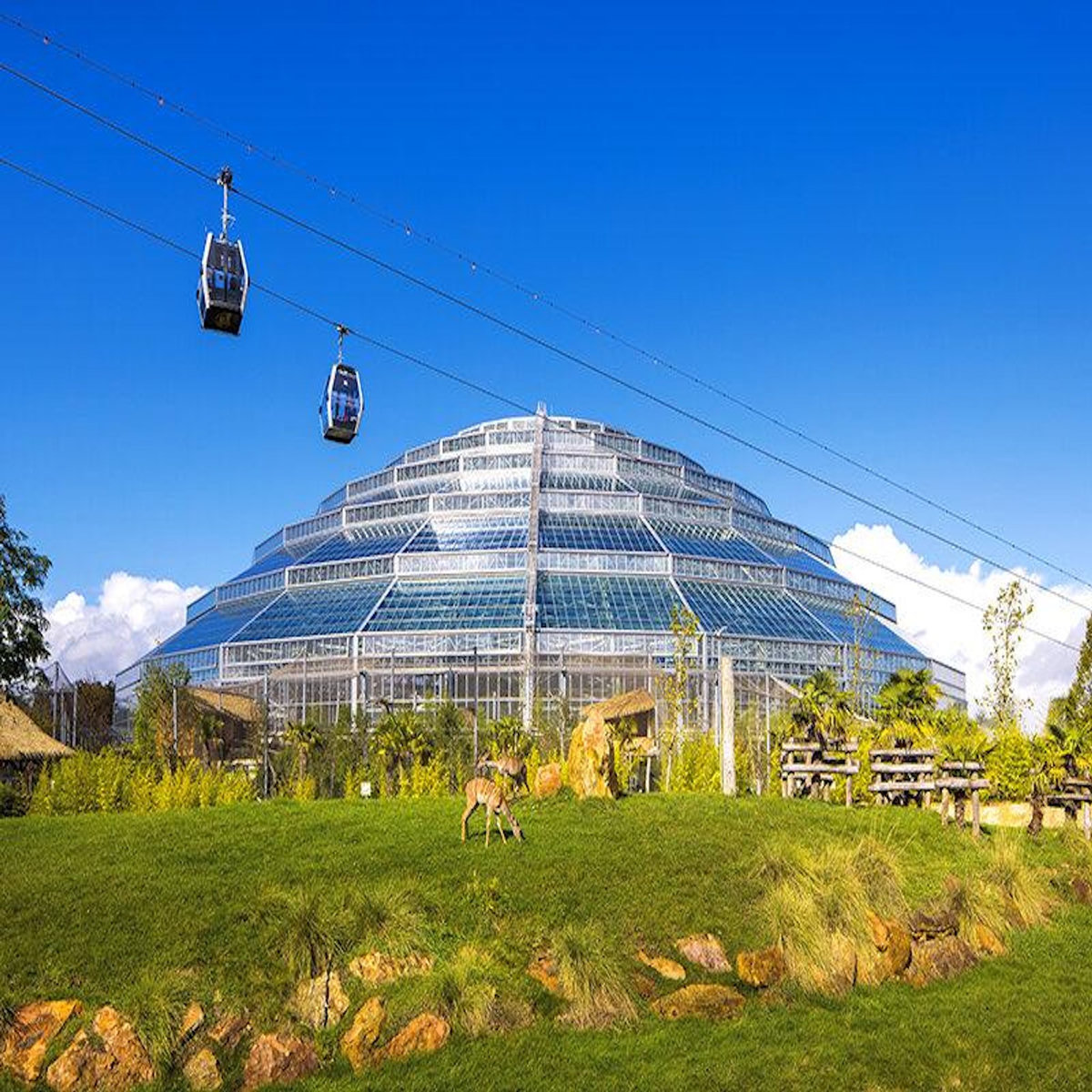 Smartbox Billet pour le ZooParc de Beauval 2026 : 1 entrée adulte pour 1 journée - Coffret Cadeau Multi-thèmes