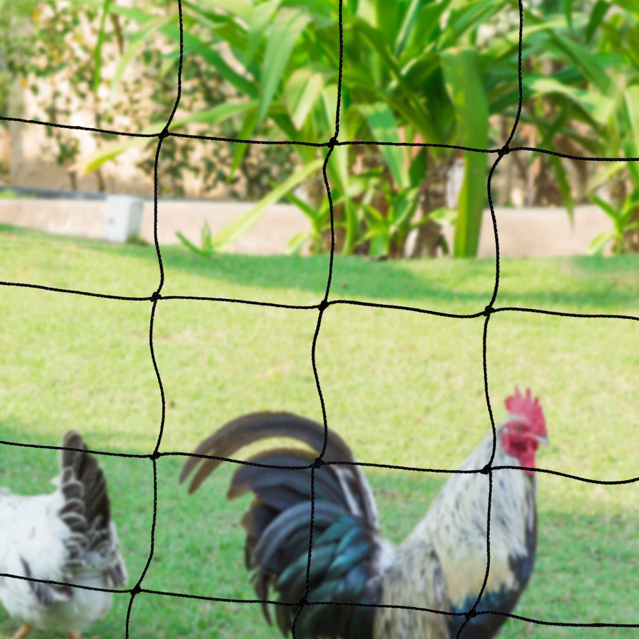 Voir la diapositive 5 : ID MARKET Kit clôture filet à poules 50 m avec porte 15 piquets double pointe