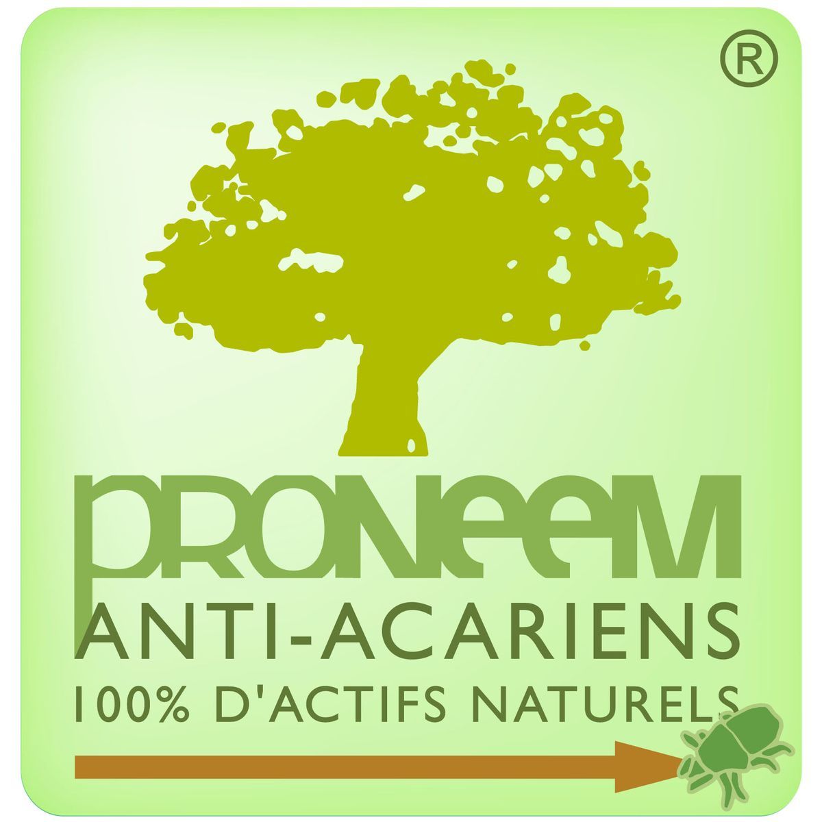 DODO Couette chaude traitée anti-acariens PRONEEM