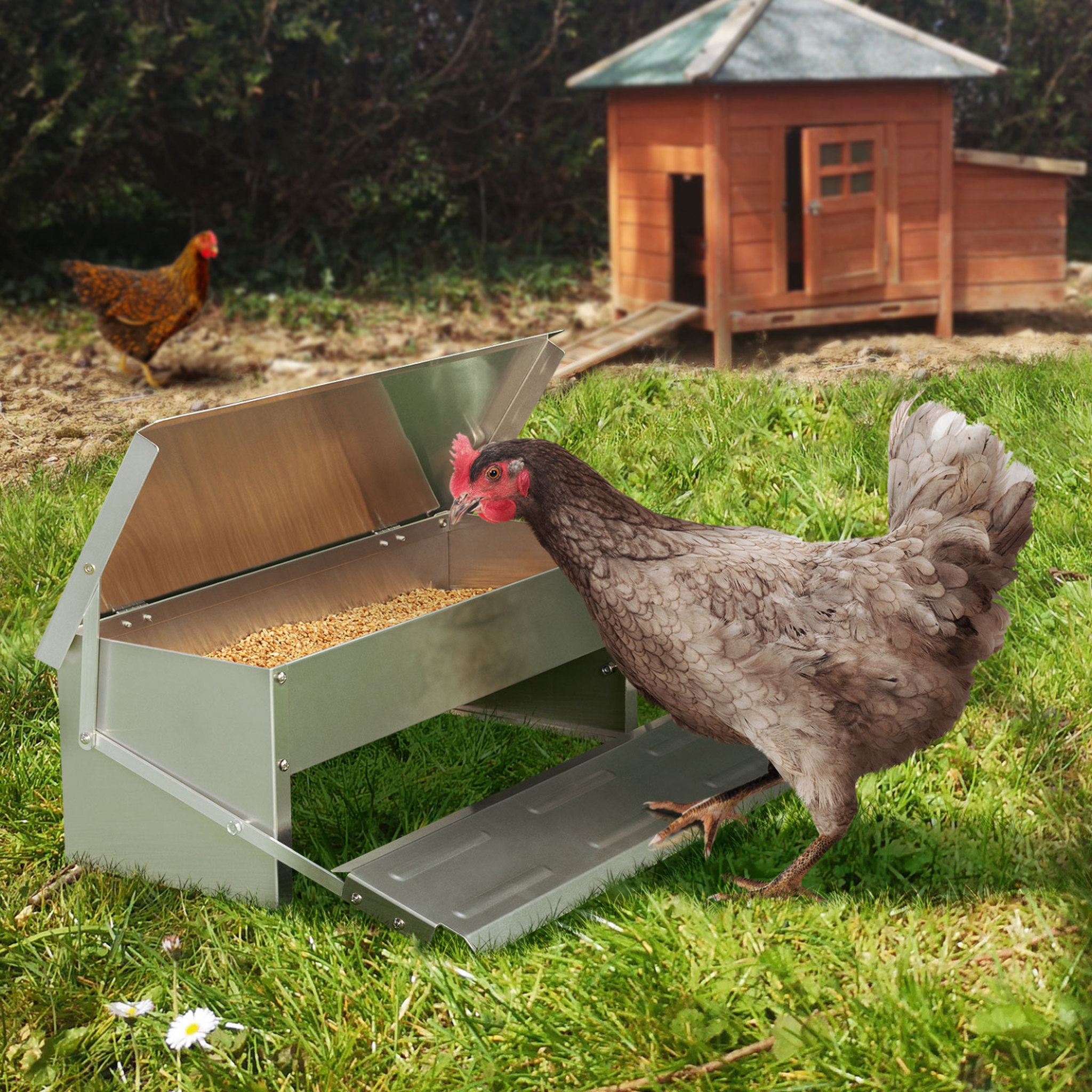 Voir la diapositive 2 : ID MARKET Mangeoire xl pour poules distributeur automatique à pédale en acier 5 kg