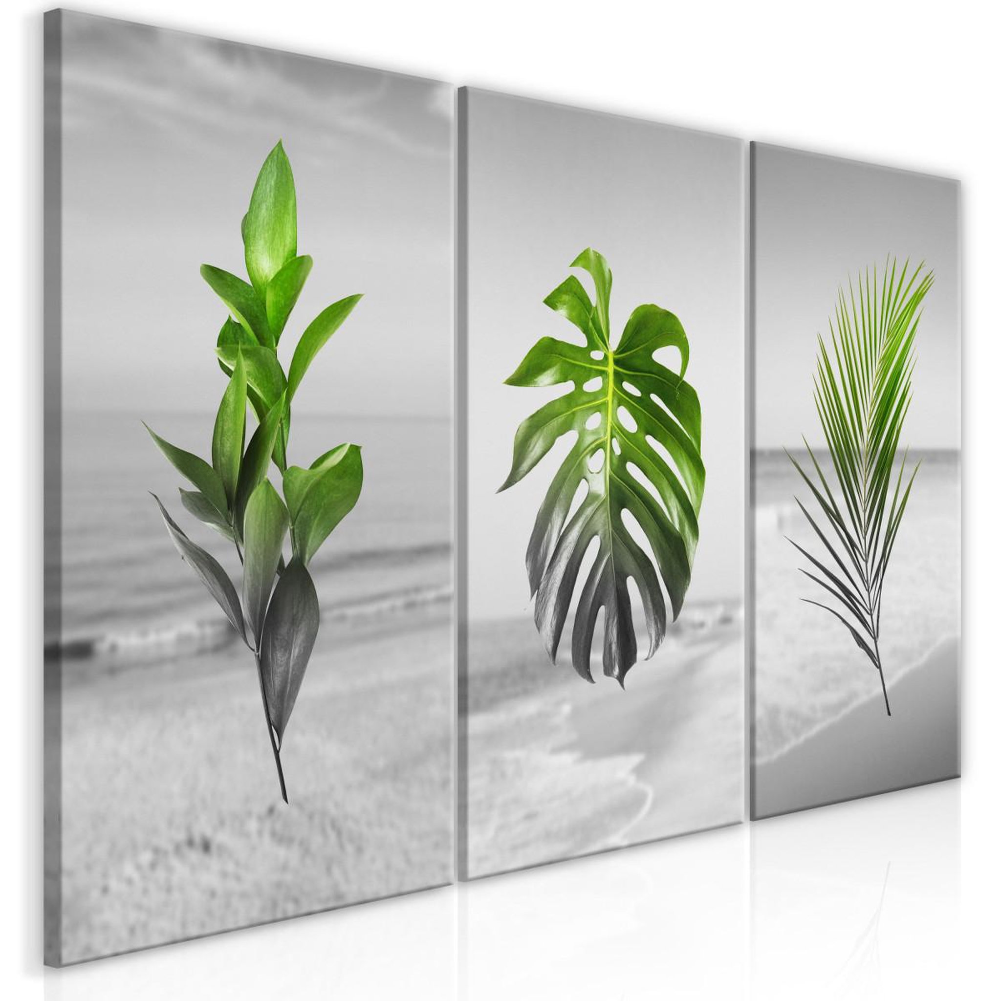Paris Prix Tableau imprimé  plants collection. Coloris disponibles : Multicolore