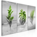 Paris Prix Tableau Imprimé  Plants Collection. Coloris disponibles : Multicolore