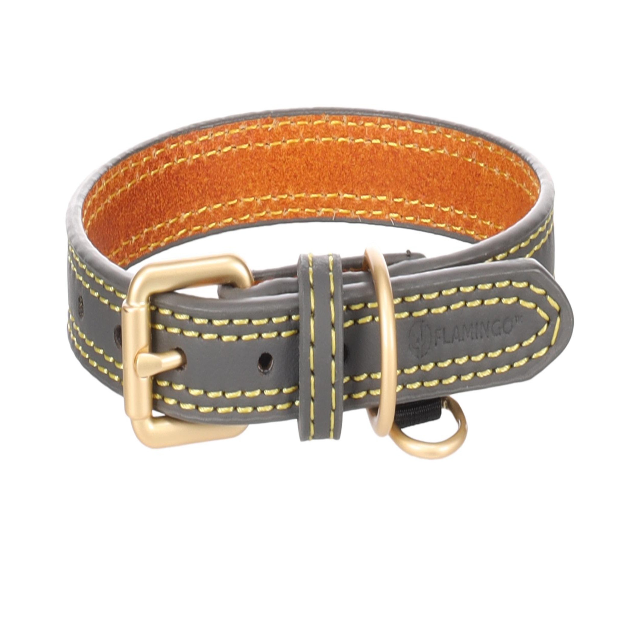 Voir la diapositive 3 : Eden Collier pour chien virginia en cuir