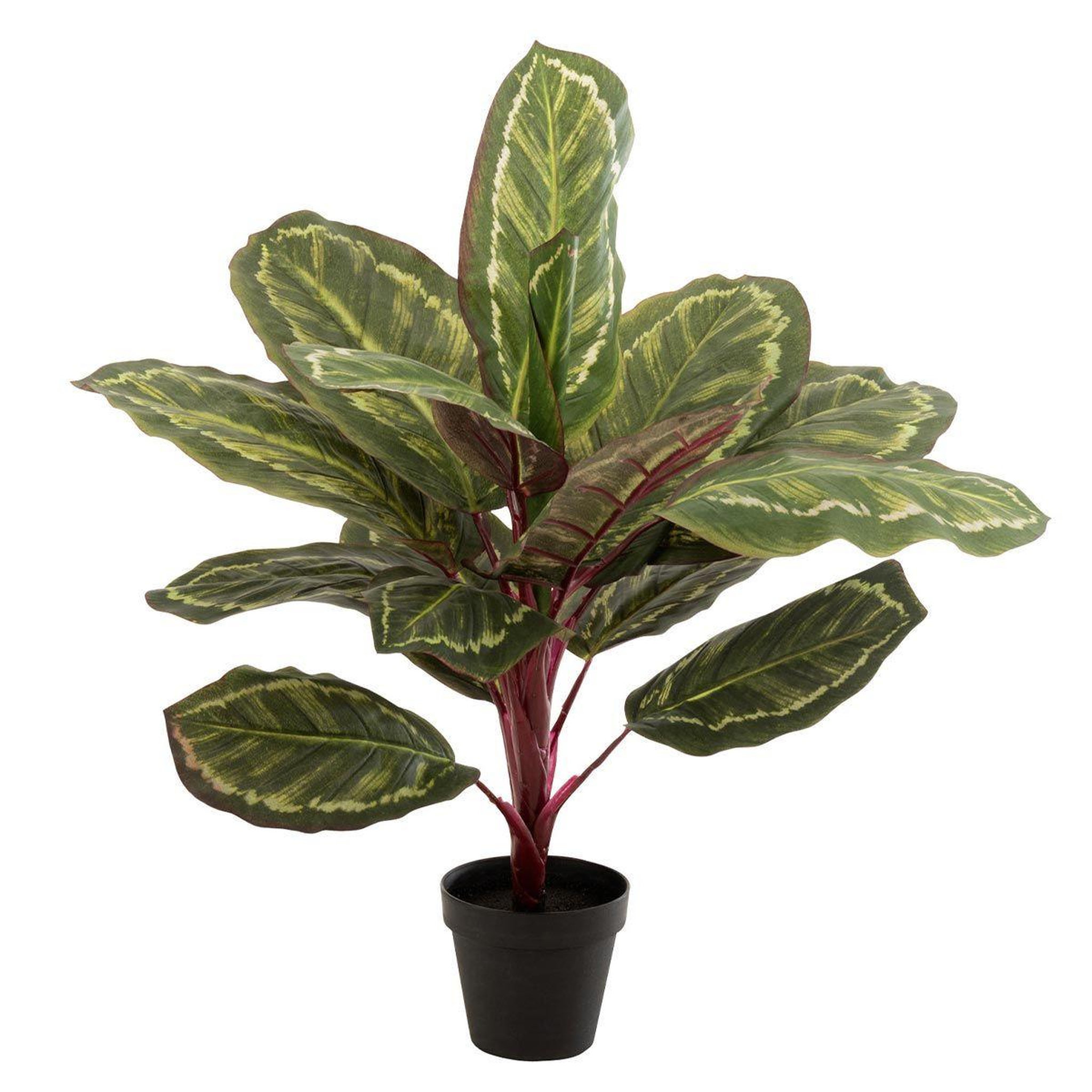 J-LINE Plante artificielle en pot  peacock  60cm vert