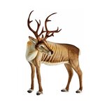 Hansa Hansa Peluche Geante Renne 95cmH 90cmL