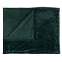 Voir la diapositive 1 : Paris Prix Plaid Flanelle Embosse  Roméo  120x150cm Vert Sapin