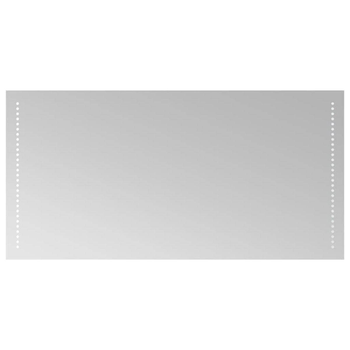 VIDAXL Miroir de salle de bain a LED 50x100 cm