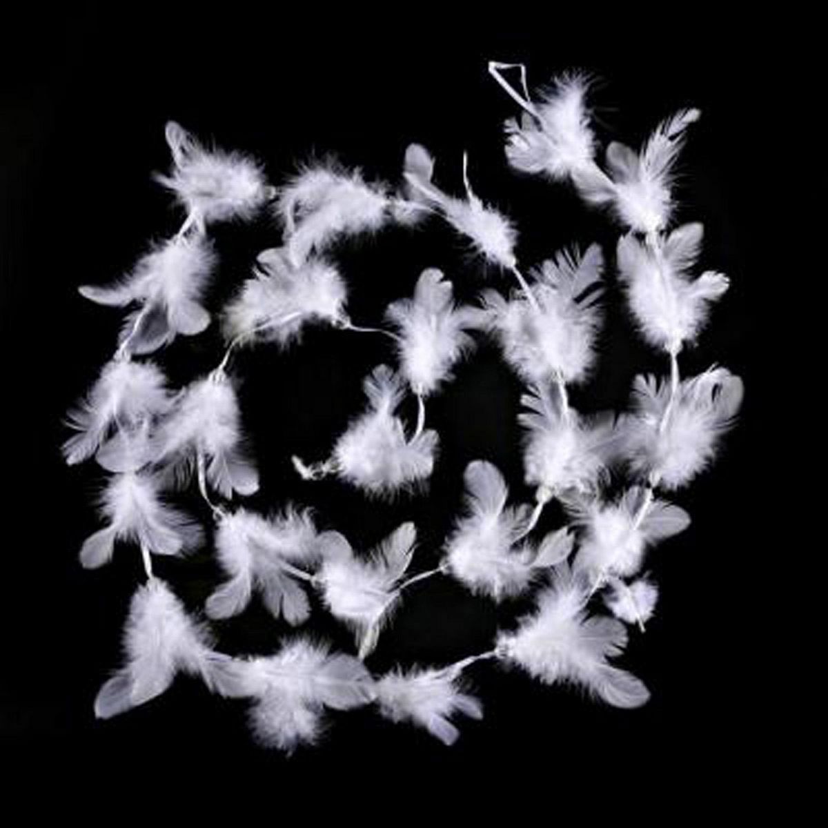 TOILINUX Lot 2x Guirlande de Noël Plumes et Perles - 2 m