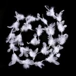 TOILINUX Lot 2x Guirlande de Noël Plumes et Perles - 2 m