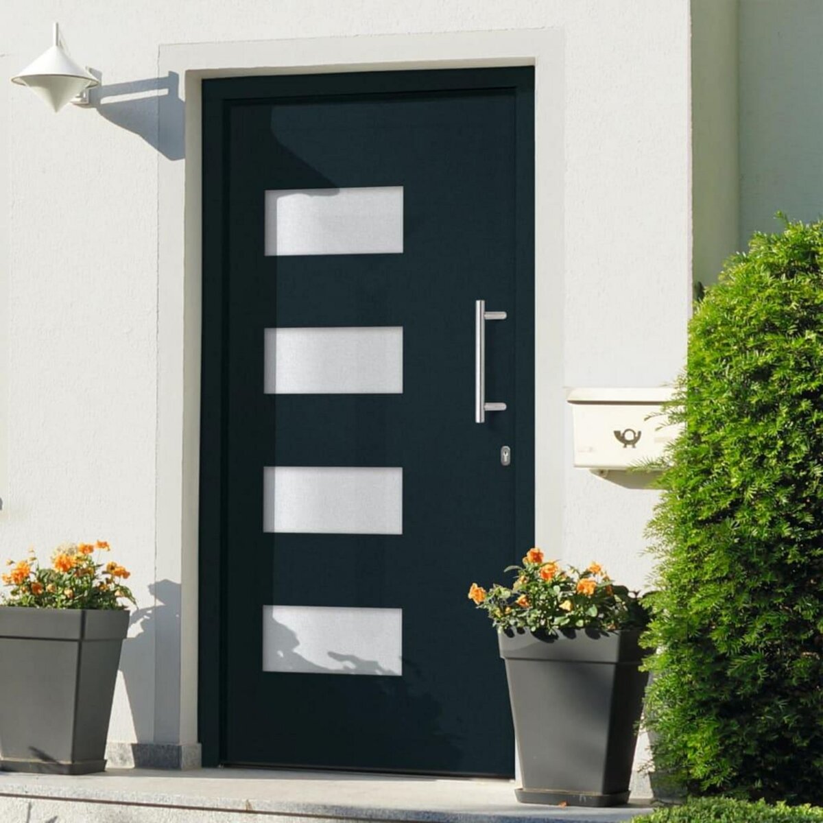 VIDAXL Porte d'entree Aluminium et PVC Anthracite 100x200 cm