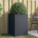 VIDAXL Jardiniere anthracite 52x48x75 cm acier