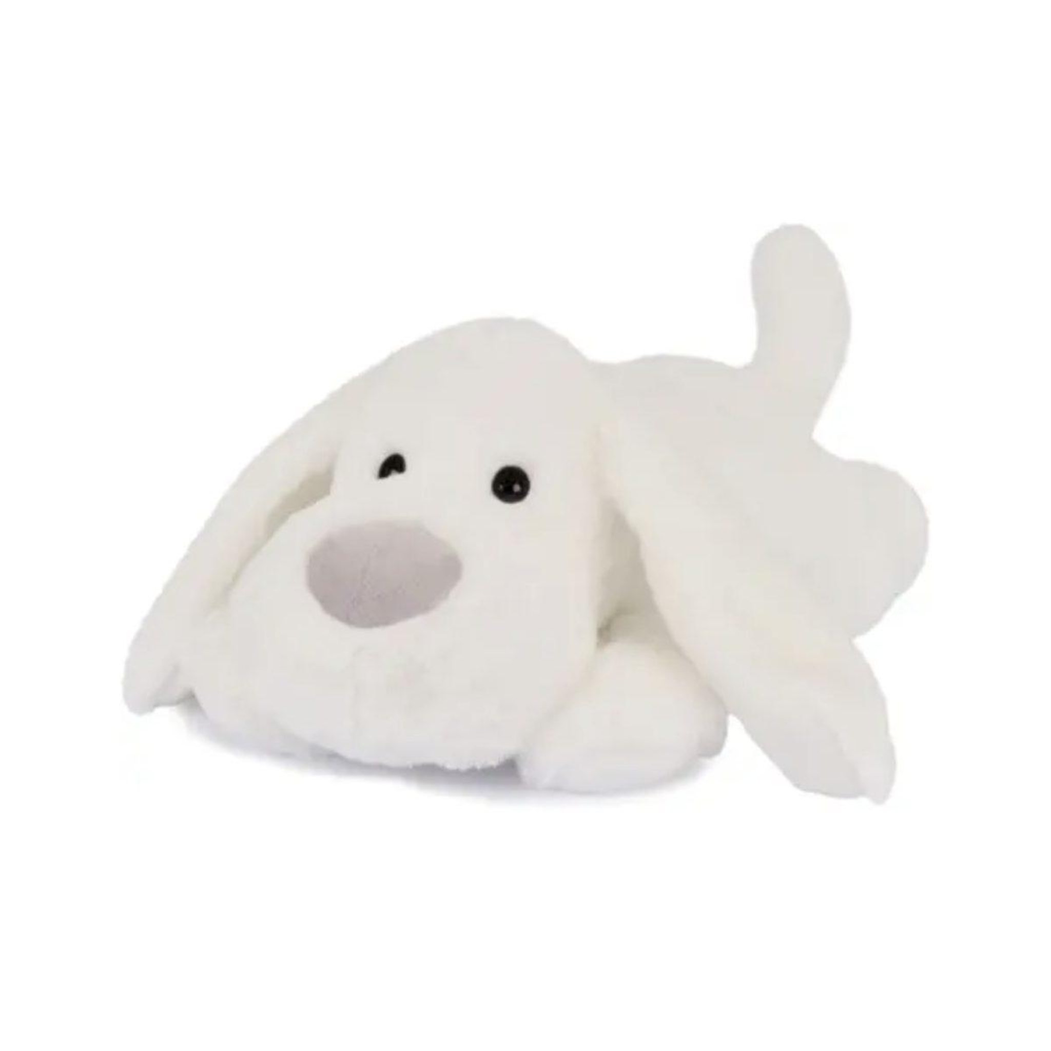 Histoire D'Ours Chien blanc - les allongés