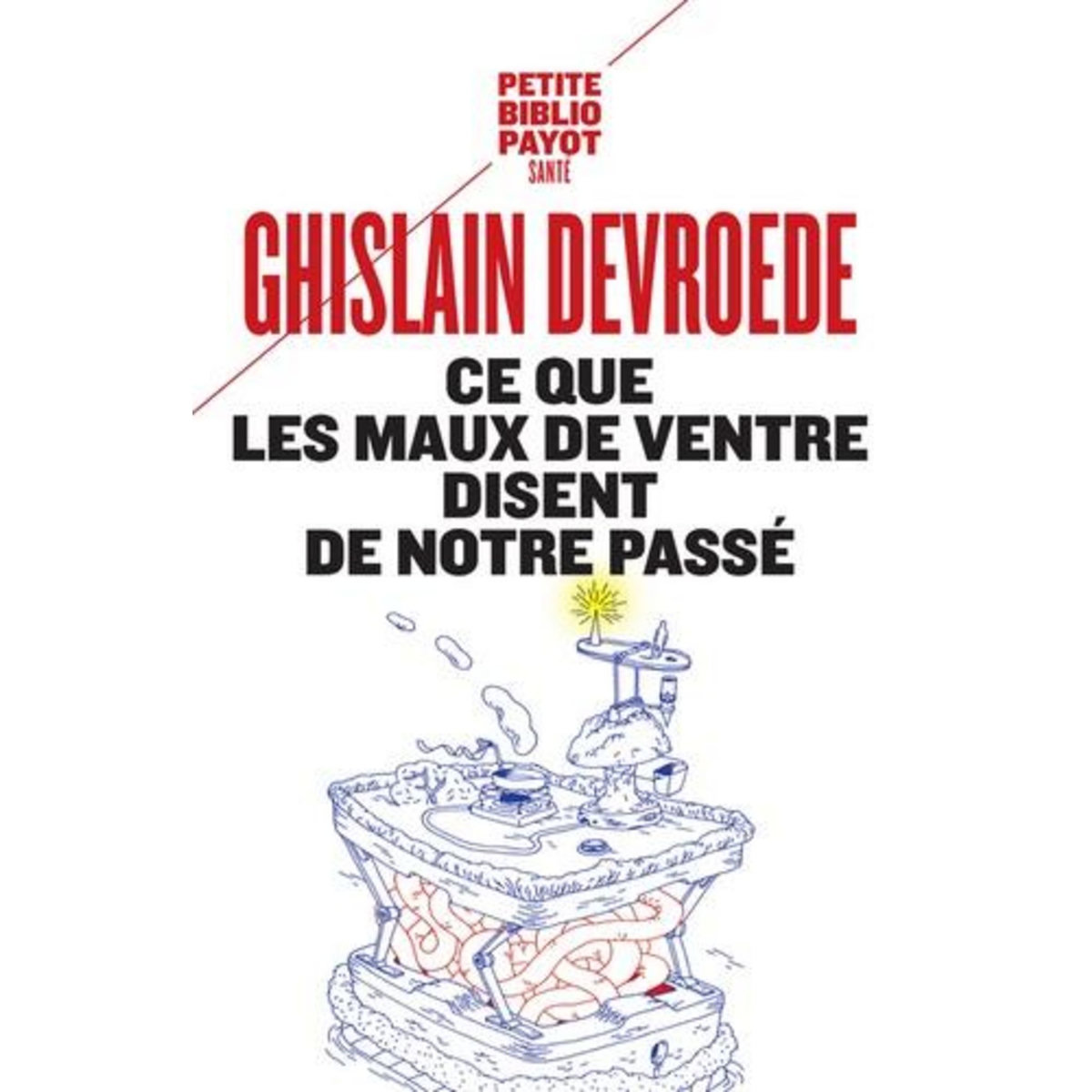 CE QUE LES MAUX DE VENTRE DISENT DE NOTRE PASSE, Devroede Ghislain