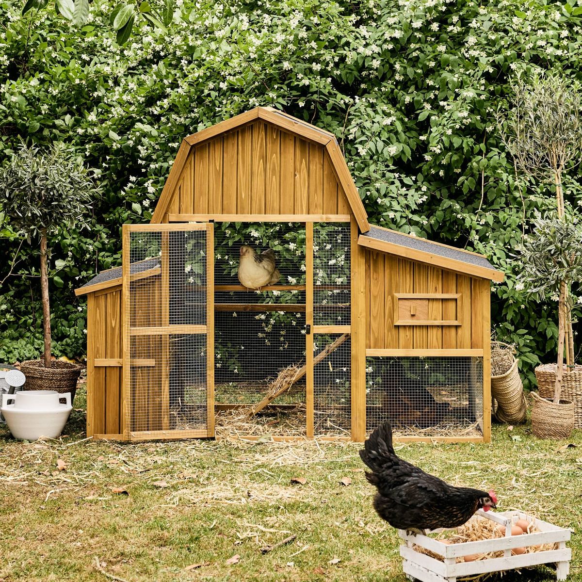 SWEEEK Poulailler 6 poules bois de sapin - 195.5 x 90 x 152.5 cm - Gasconne