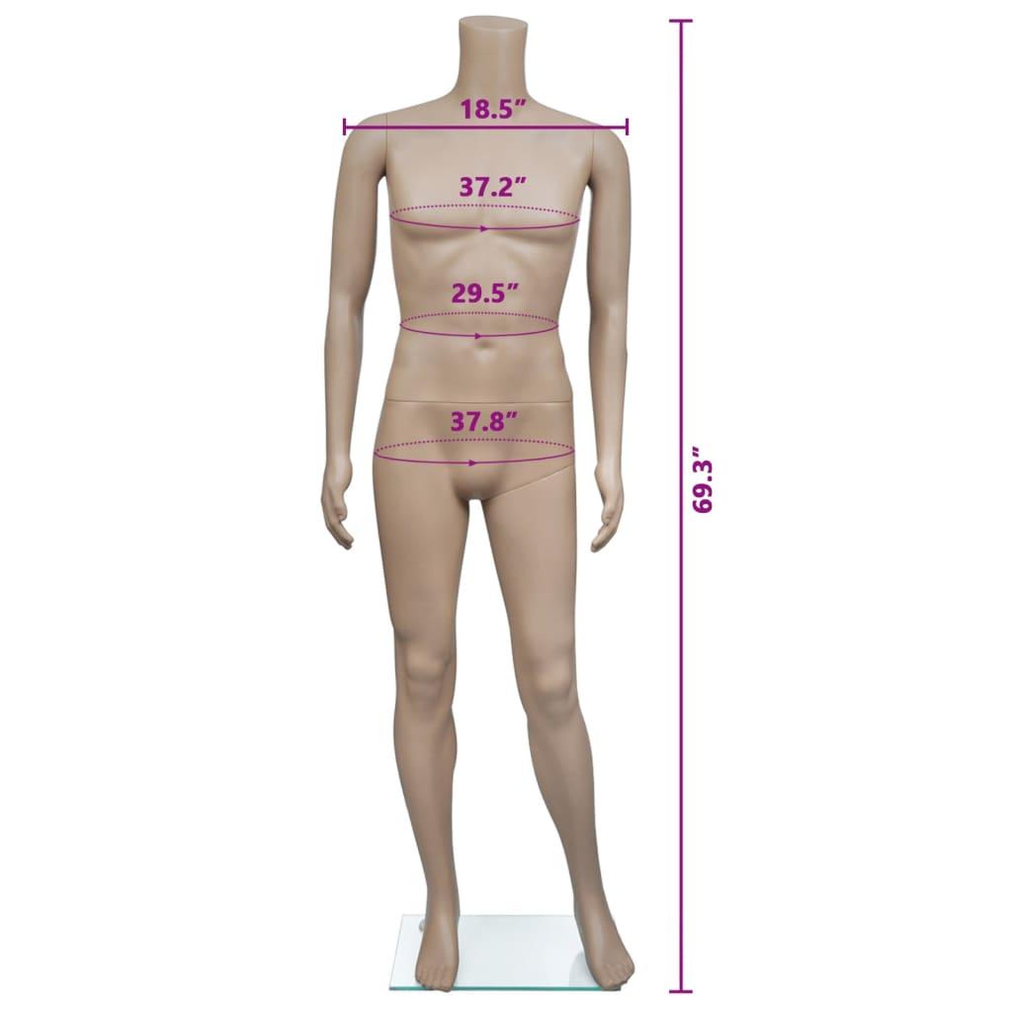 Voir la diapositive 5 : VIDAXL Mannequin de vitrine Homme sans tete