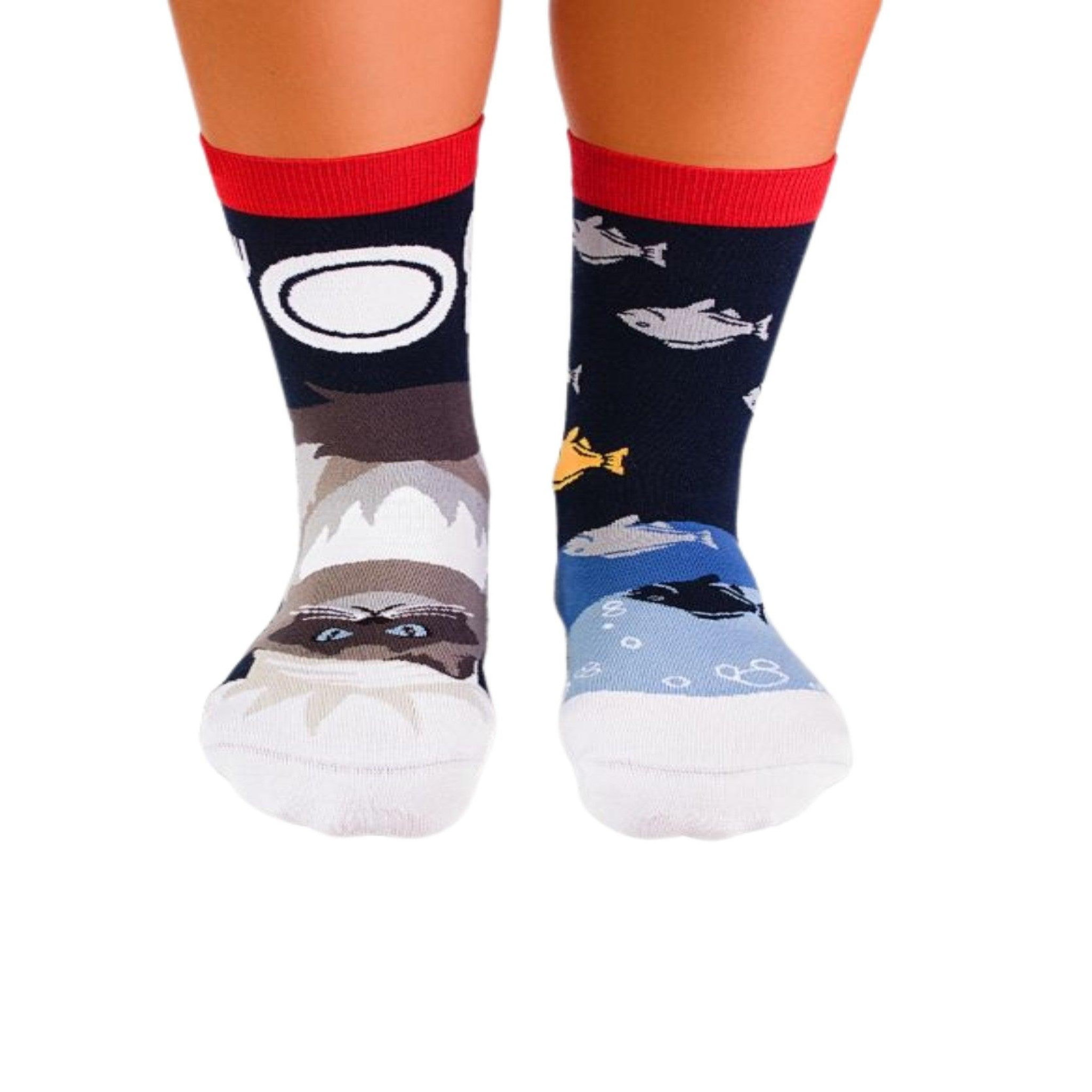 PIRIN HILL Chaussettes arty himalaya le chat. Coloris disponibles : Multicolore