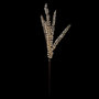 Voir la diapositive 1 : ATMOSPHERA Branche 5 Feuilles  Galerie des Merveilles  100cm Or