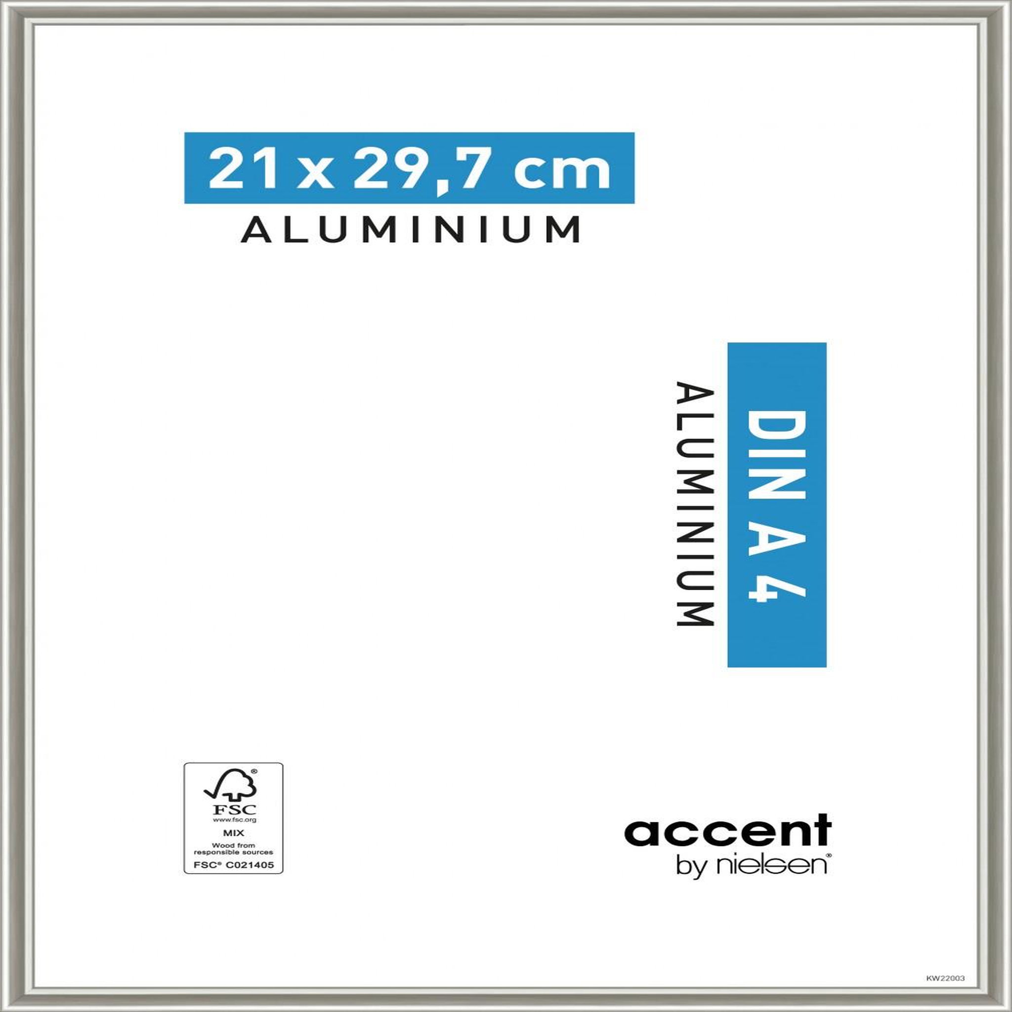 CENTRALE BRICO Cadre Nickel, l.21 x H.29.7 cm, aluminium gris