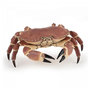 Voir la diapositive 5 : Papo 56047 - Crabe Figurine
