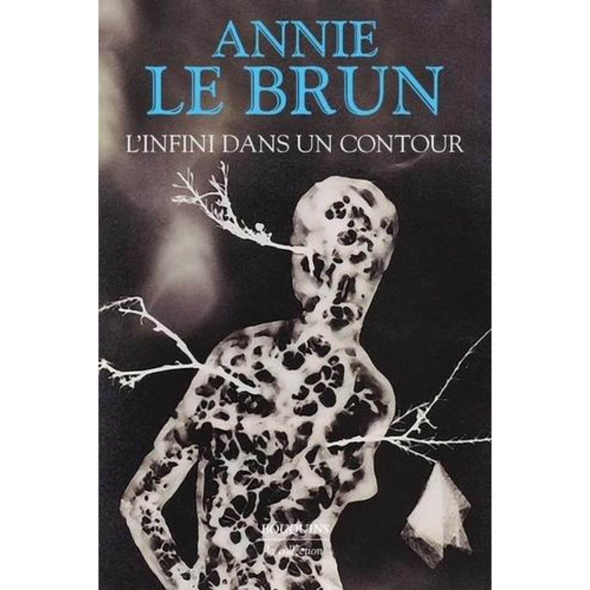 L'INFINI DANS UN CONTOUR, Le Brun Annie