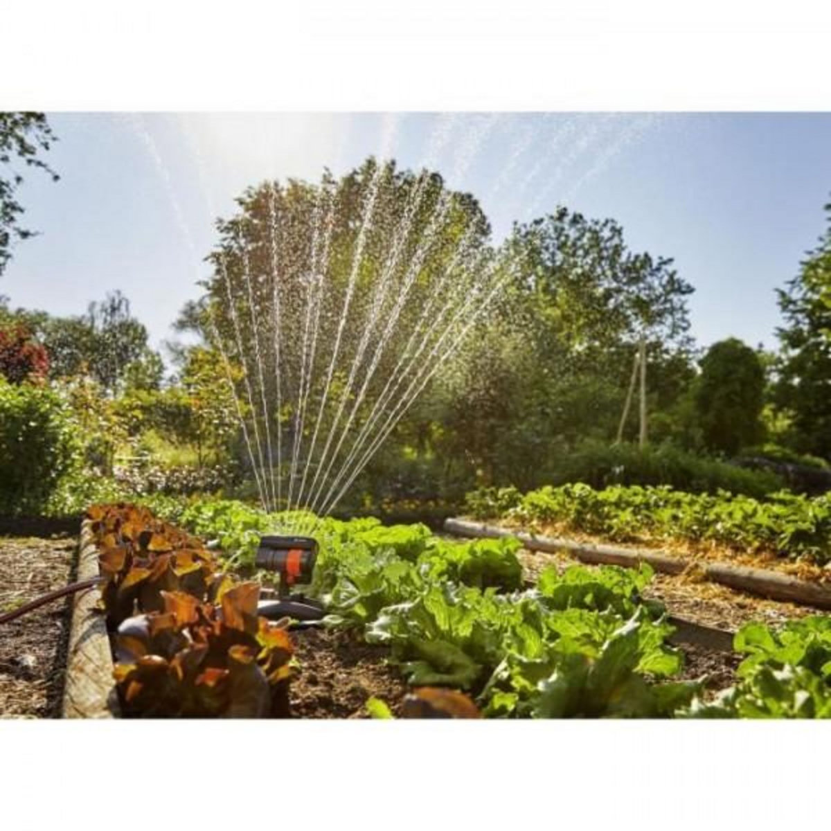 Gardena Arroseur GARDENA  oscillant AquaZoom Compact – Surface 216m² – Portée 18m max – Résistant UV et gel – Garantie 5 ans (