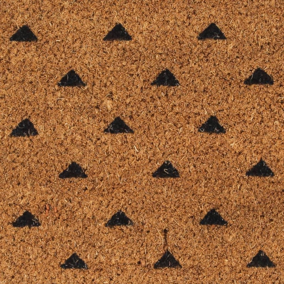 VIDAXL Tapis de porte naturel 45x75 cm fibre de coco touffete