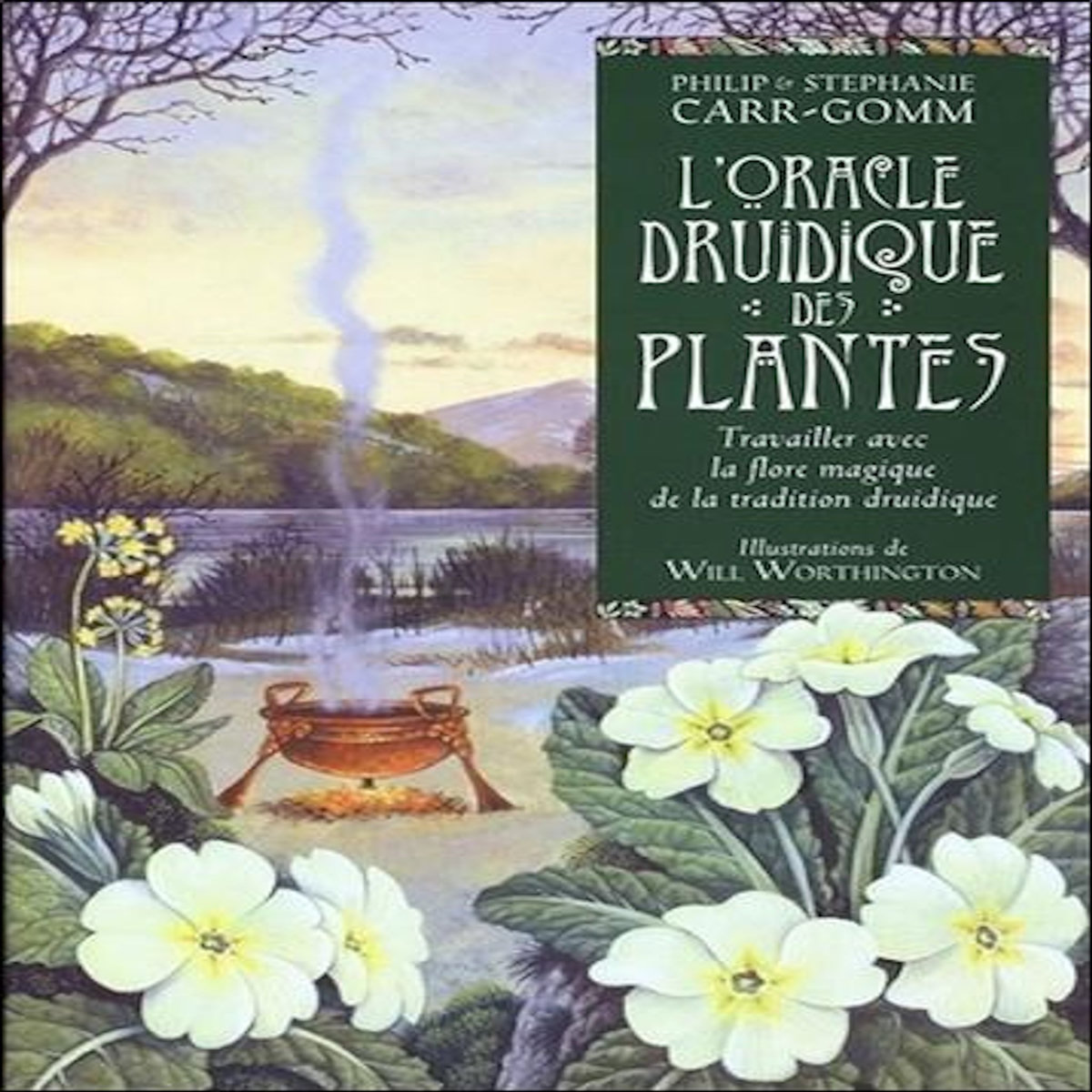 COFFRET L'ORACLE DRUIDIQUE DES PLANTES. TRAVAILLER AVEC LA FLORE MAGIQUE DE LA TRADITION DRUIDIQUE. AVEC 1 JEU DE 36 CARTES, 2E EDITION, Carr-Gomm Philip