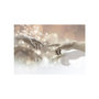 Voir la diapositive 2 : Paris Prix Papier Peint  Sensitive Touch