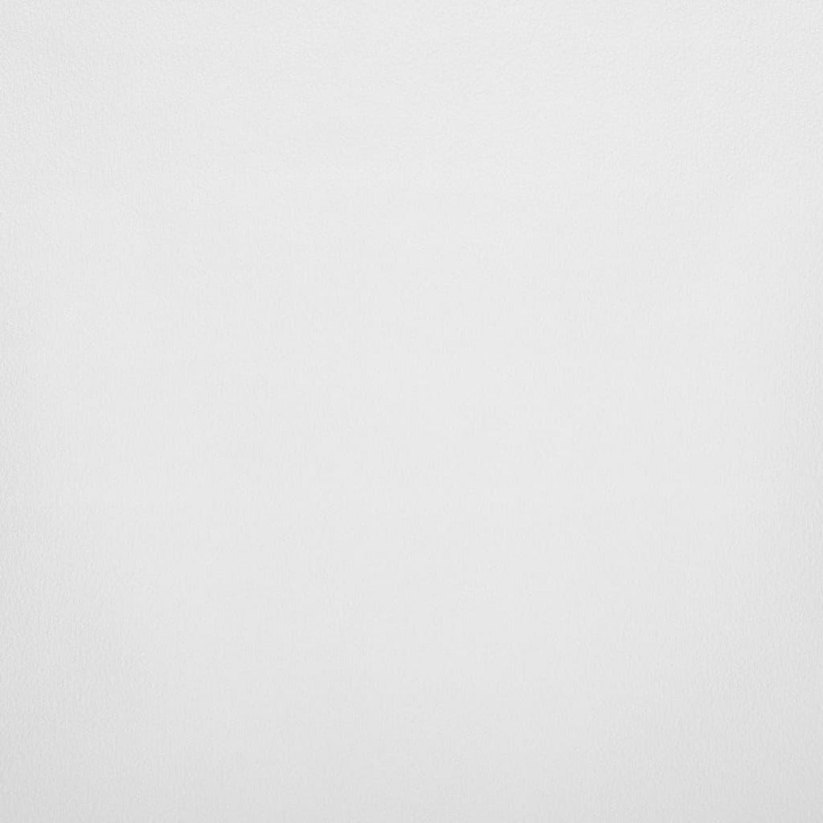 VIDAXL Papier peint 3D couleur unie beige 10x0,53 m non tisse