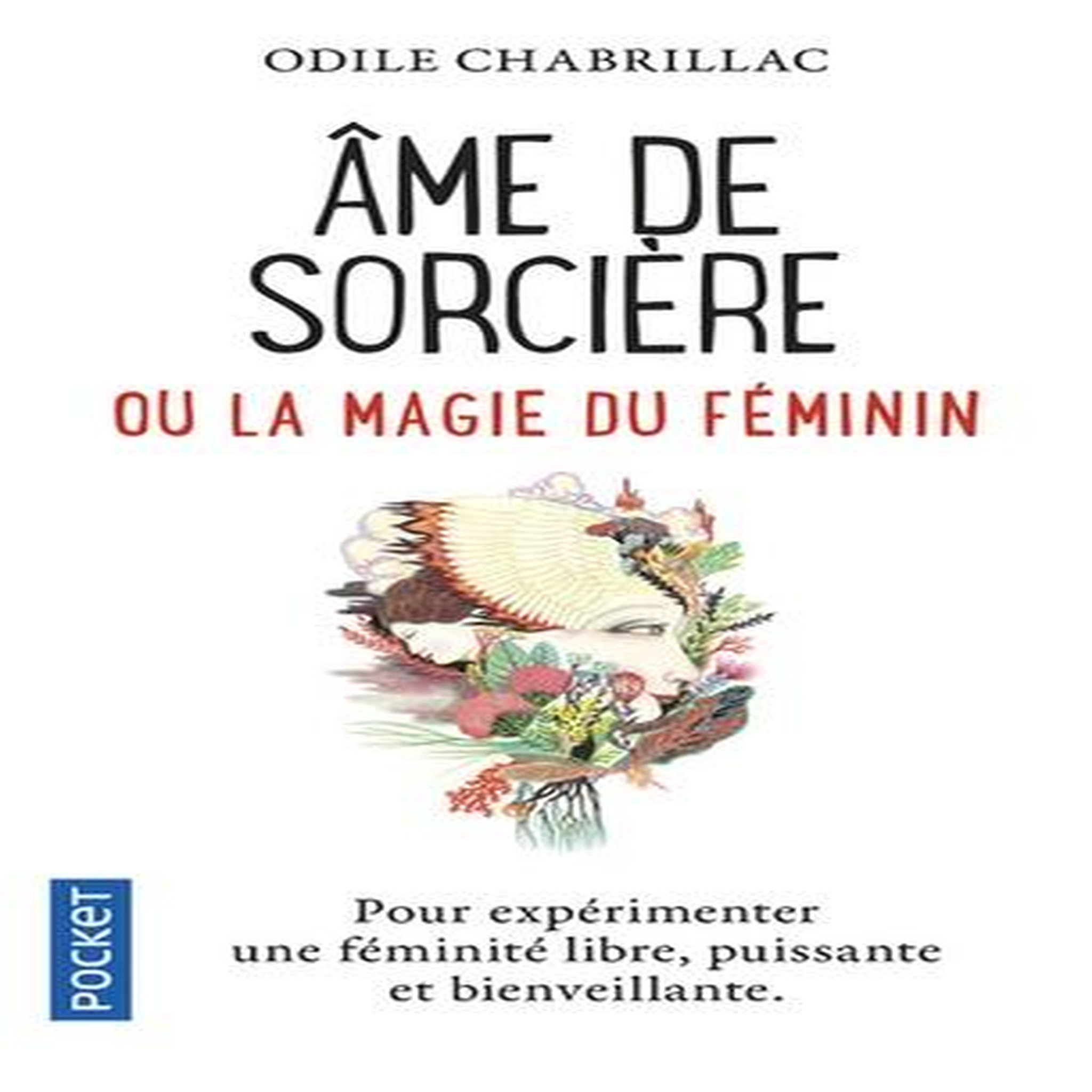 AME DE SORCIERE OU LA MAGIE AU FEMININ, Chabrillac Odile