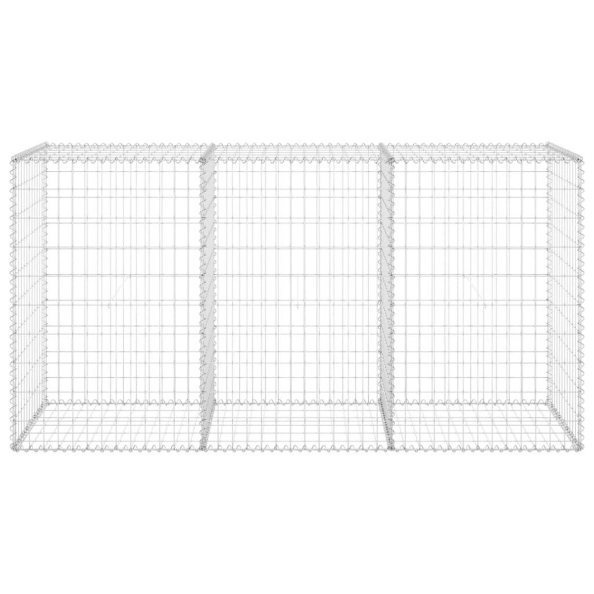 VIDAXL Mur en gabion avec couvercles Acier galvanise 200x60x100 cm