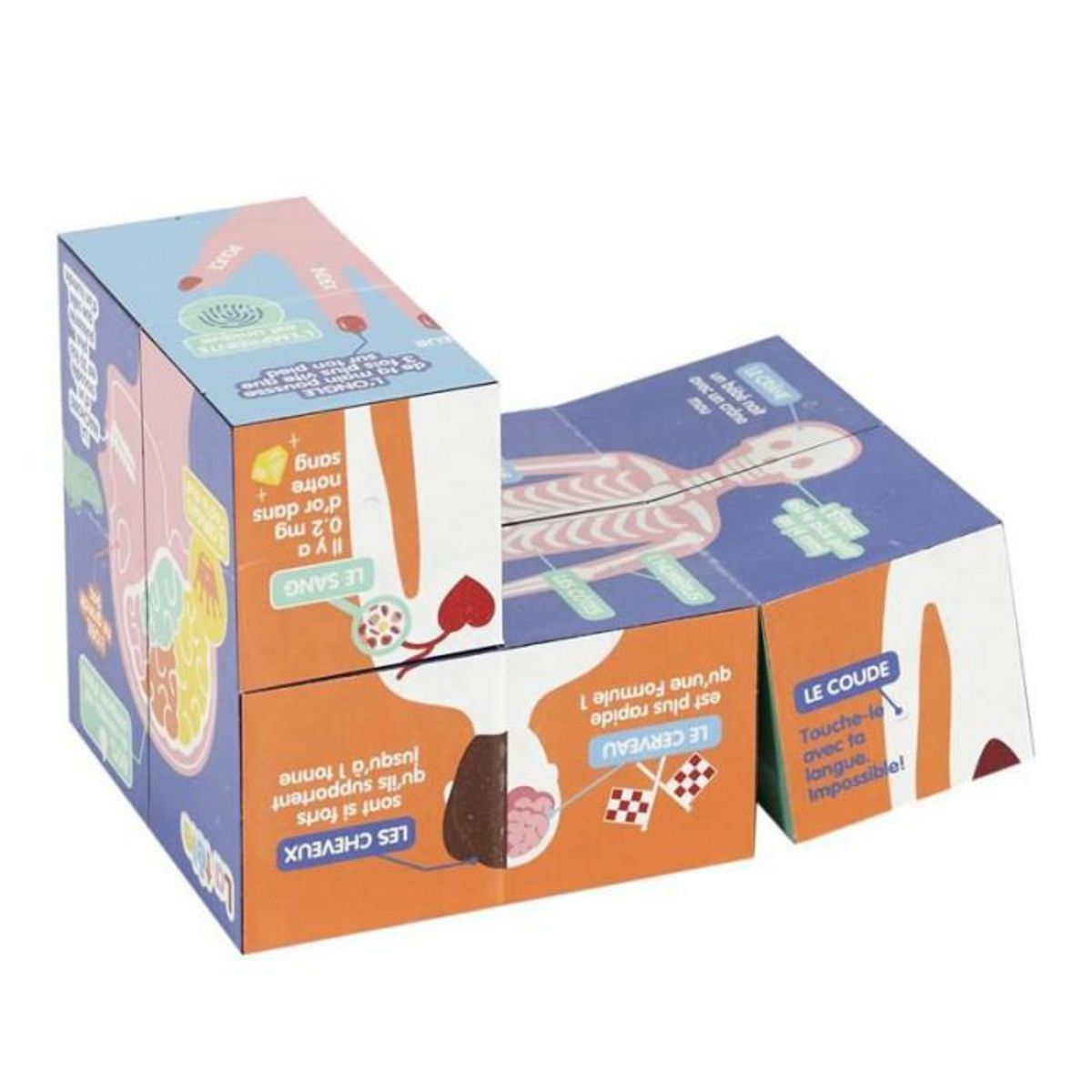Paris Prix Cube Educatif  Corps Humain  7cm Multicolore