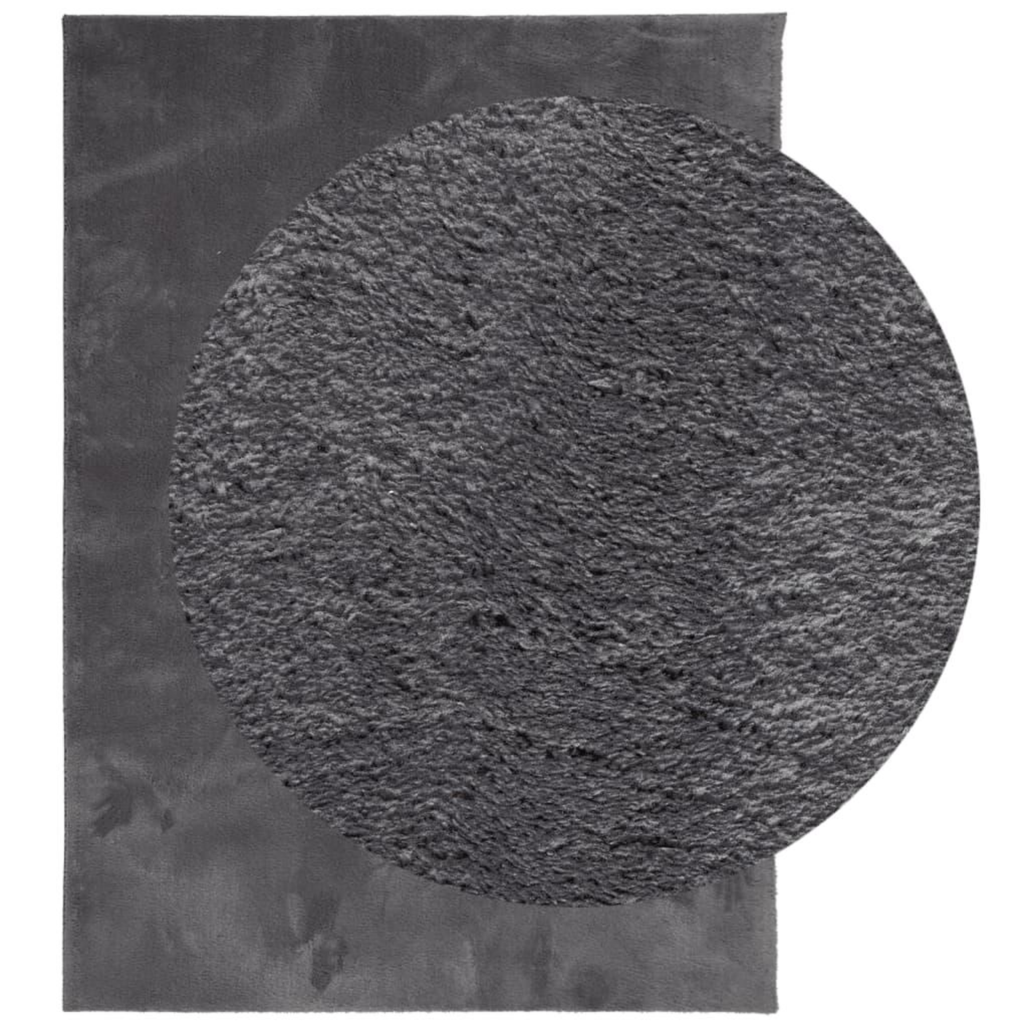 Voir la diapositive 3 : VIDAXL Tapis HUARTE a poils courts doux lavable anthracite 240x340 cm