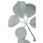 Voir la diapositive 2 : Paris Prix Branche Artificielle Floquée  Schefflera  120cm Vert