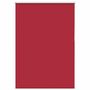 Voir la diapositive 2 : VIDAXL Store enrouleur occultant rouge largeur du tissu 100,7 cm