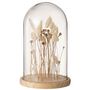 Voir la diapositive 1 : Paris Prix Cloche en Verre Déco  Fleurs Séchées  38cm Écru
