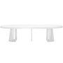 Voir la diapositive 2 : Paris Prix Table de Repas Extensible  Laize  150-300cm Blanc