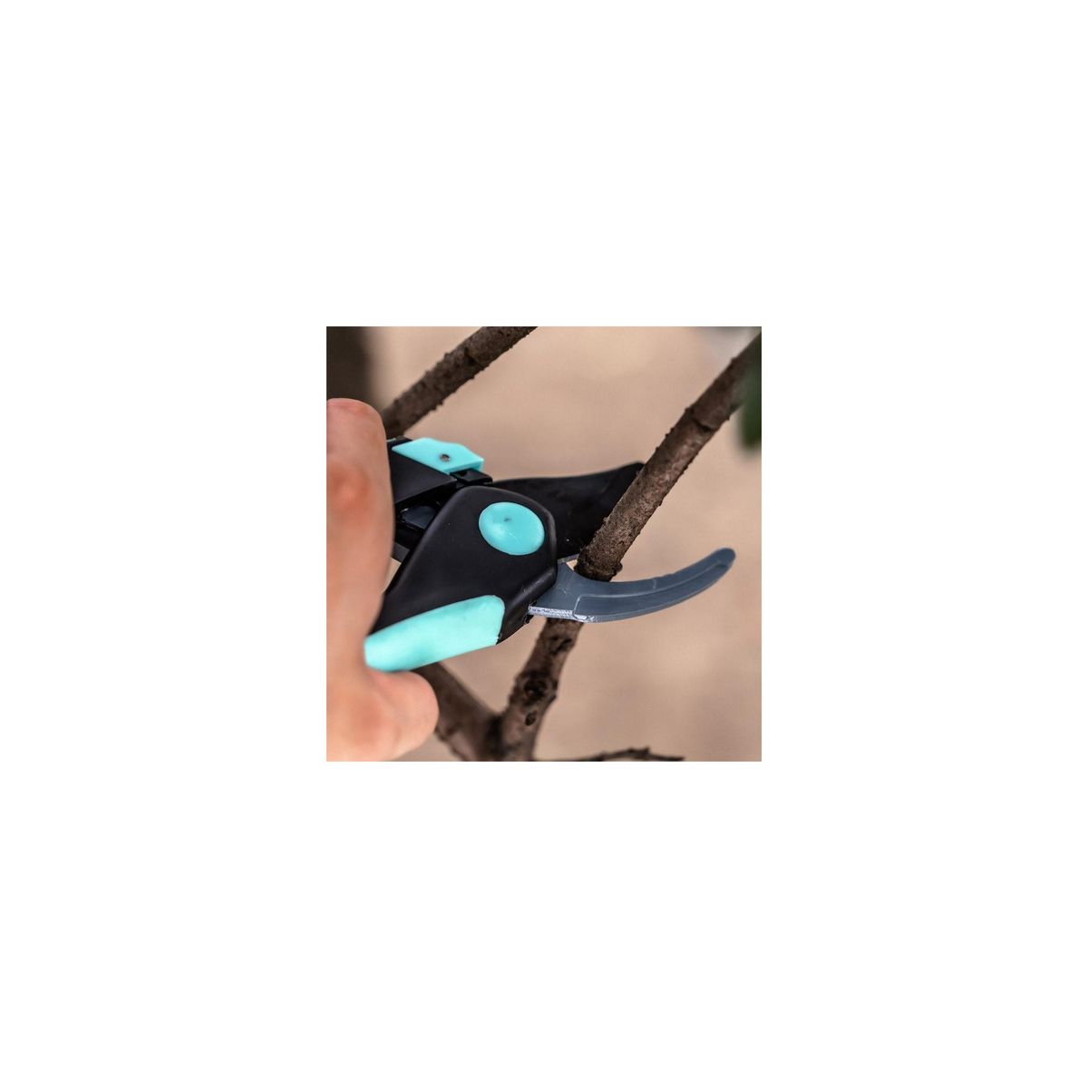 SUAN Sécateur avec lame franche - Suan - En acier - Dimensions : 20 x 6 cm