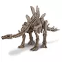 4M - Kidz Labs Stegosaure Déterre ton dinosaure Dig a dino