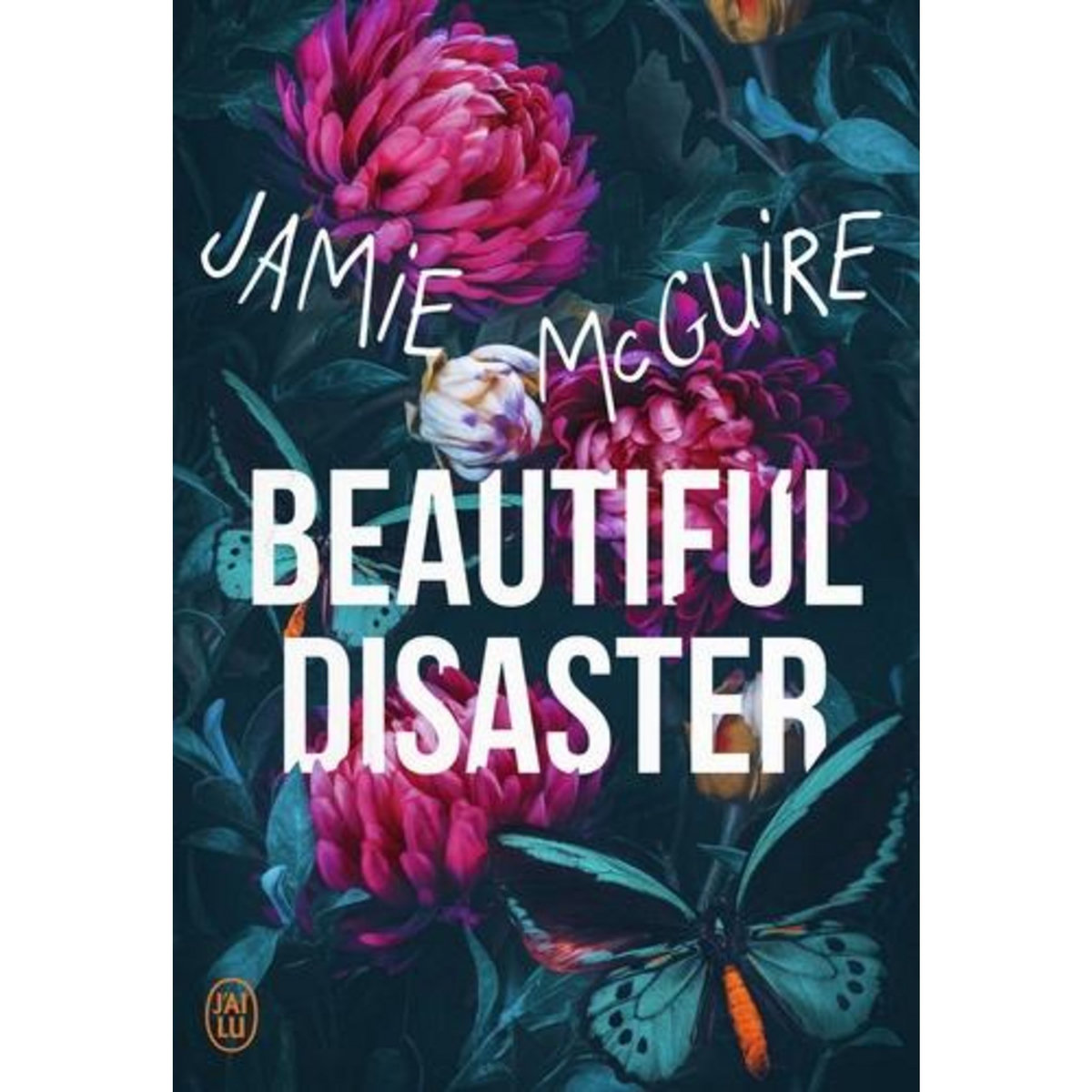BEAUTIFUL DISASTER, McGuire Jamie