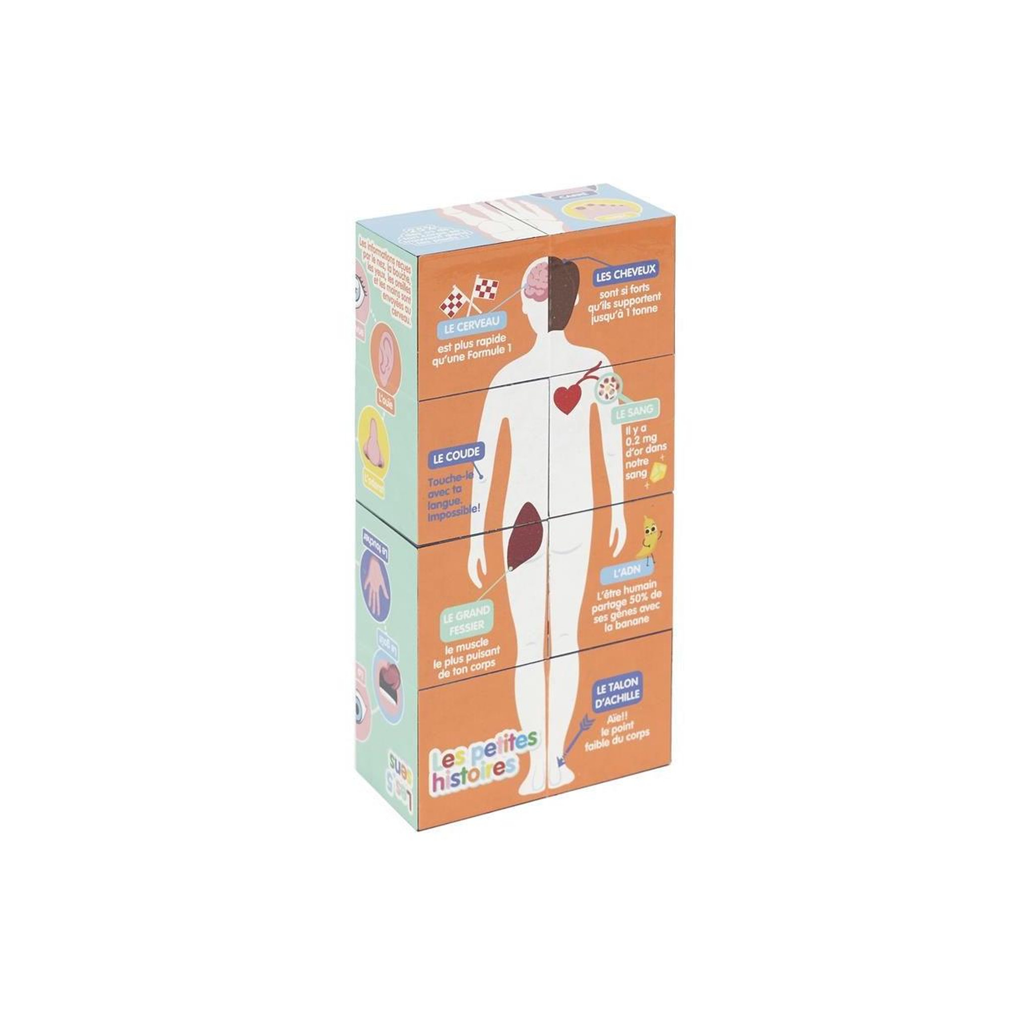 Voir la diapositive 3 : Jeux 2 momes Cube educatif  corps humain  7cm multicolore