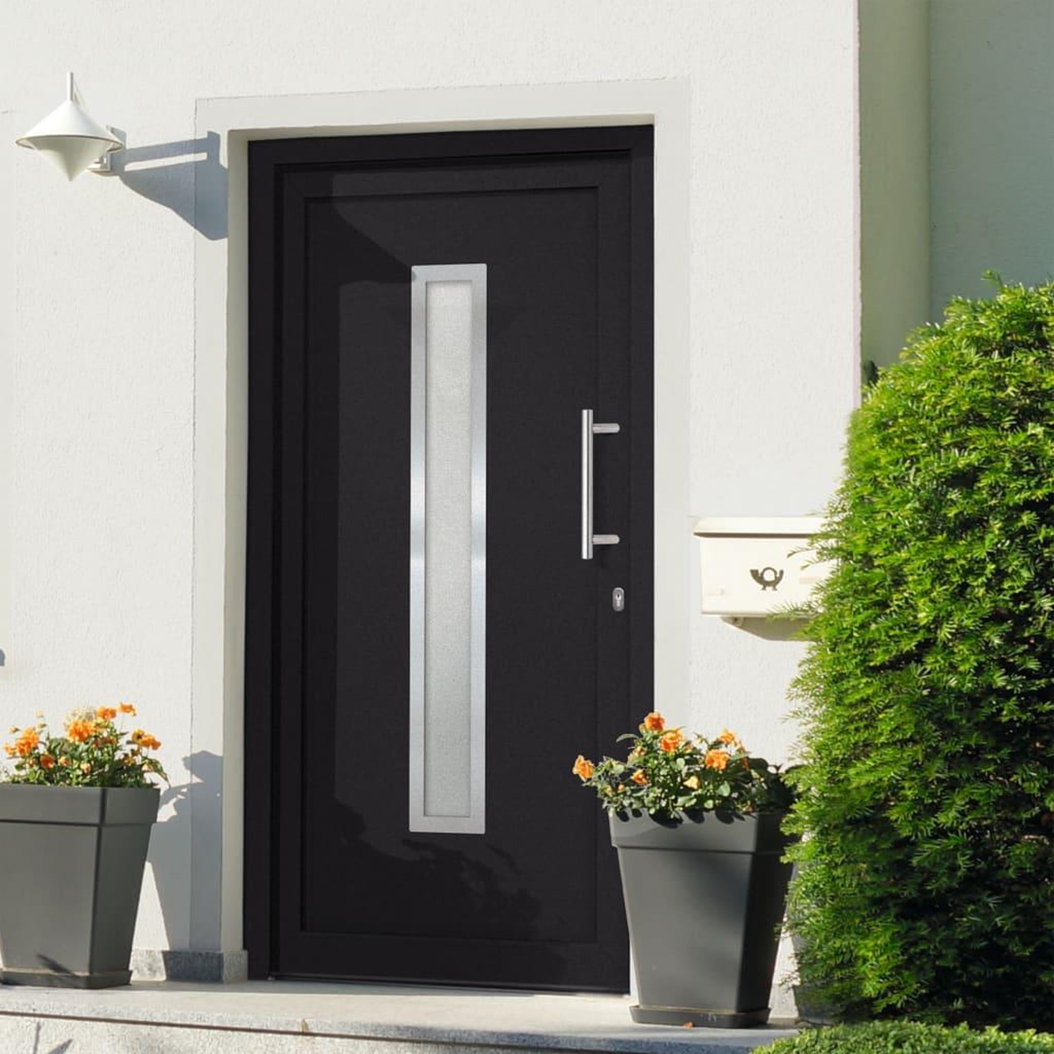 VIDAXL Porte d'entree Anthracite 98x208 cm