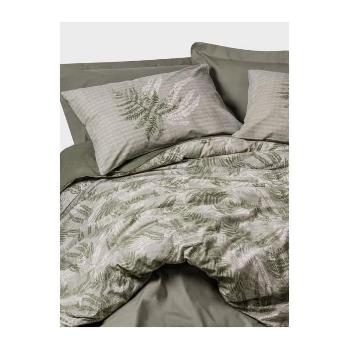 GENERIQUE Parure de lit - 129CTN64491 - 1 housse de couette 220 x 240 cm + 2 taies d'oreiller 60 x 60 cm - 100% coton ranforcé - Kaki